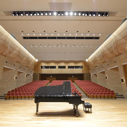 /magnoliaAuthor/steinway.com-japan/ja/owner-interview/spirio02