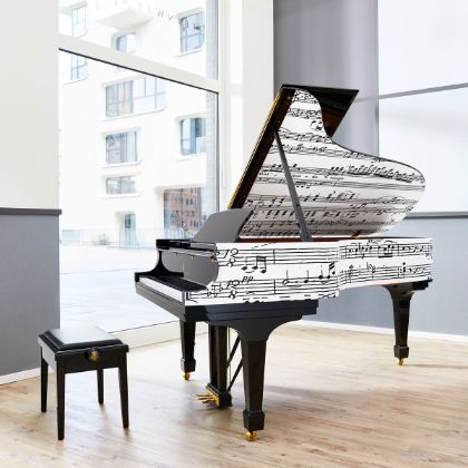 /magnoliaAuthor/steinway.kr/pianos/steinway/Limited-edition/Appassionata