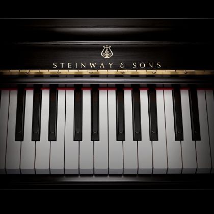 /magnoliaAuthor/steinway.vn/vi/news/ve-sinh-dan-piano-steinway-sons