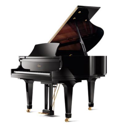 /magnoliaAuthor/steinway.vn/pianos/essex/grand/egp-155